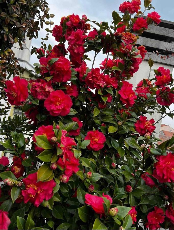 Giresio 41 - Your Penthouse With Rooftop Garden In Milano Navigli - Wifi מראה חיצוני תמונה
